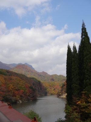 奥裾花渓谷