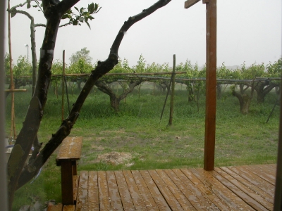 雹の来襲
