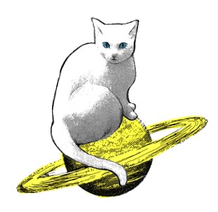スペースキャットマイカ
