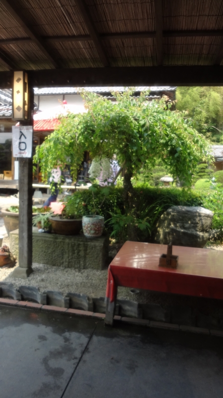 DSC07958.jpg