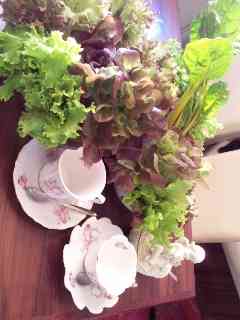 20120220_182941_01_docomo.jpg