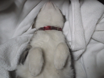 µ¤»ý¤ÁÎɤ¹¤®¤Æ¡ù