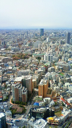 201004131252001.jpg