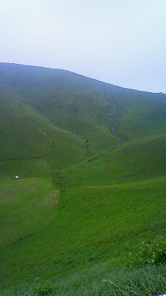 201005301128000.jpg