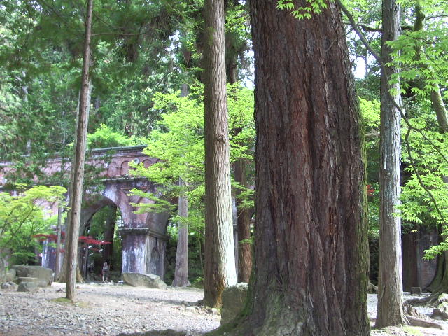 2010kyoto 010.JPG