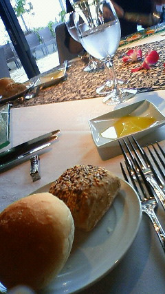 201011171204001.jpg