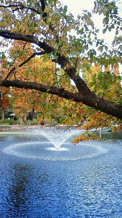 201011201450000.jpg