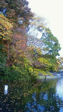 201011201448001.jpg