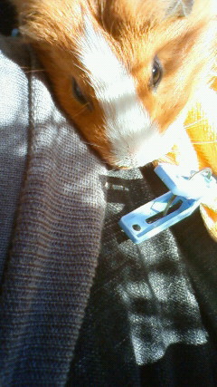 201011281137000.jpg