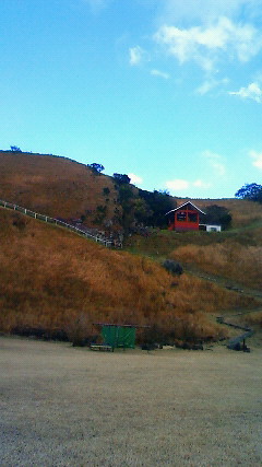201011271421001.jpg