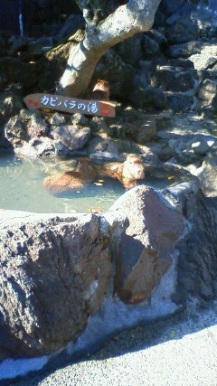 201011281058000.jpg