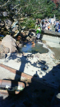 201011281051000.jpg