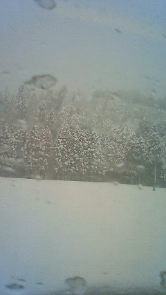 201101271215000.jpg