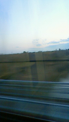 201101281716001.jpg