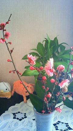 201102041232000.jpg
