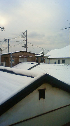 201102150748000.jpg
