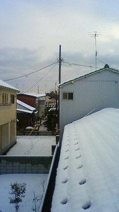 201102150748002.jpg
