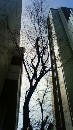 201003211350000.jpg