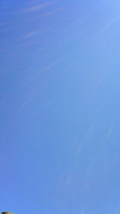 201104051056001.jpg