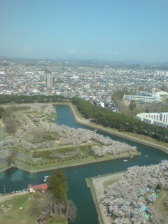 20090508114429.jpg
