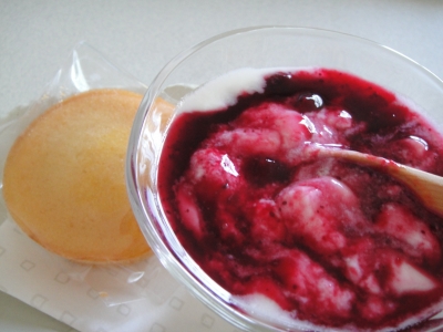 DSC04036.JPG