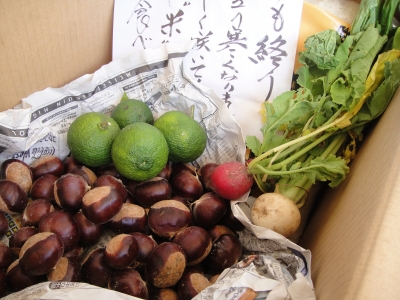 DSC04204.JPG