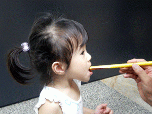 何食べてるの?