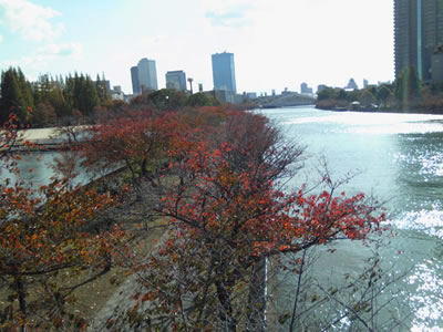 紅葉