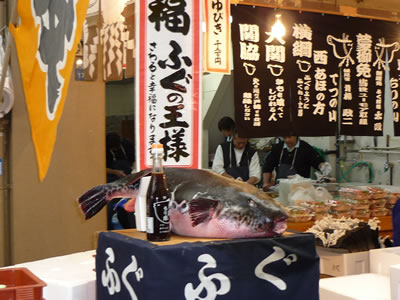 黒門市場(巨大フグ)