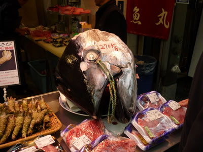 黒門市場(マグロのカブト)