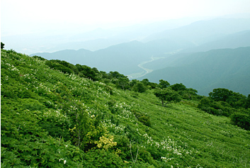 伊吹山1