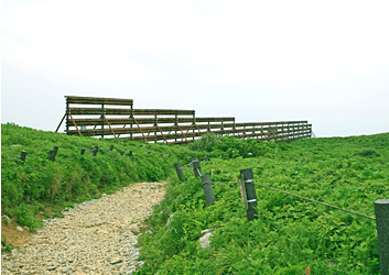 伊吹山2