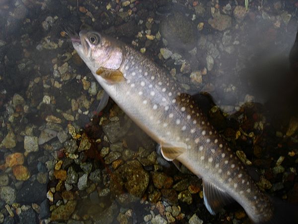 060404.jpg