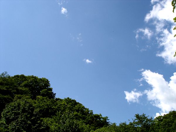060401.jpg