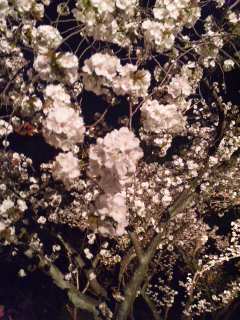 130405_1958041.jpg