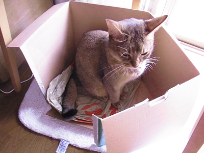お気に入りBOX