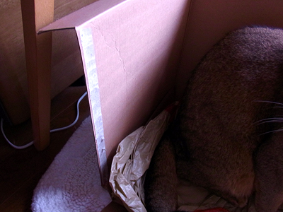 お気に入りBOX