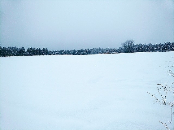 2018-01-10 11.16.32.jpg