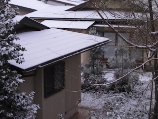 初雪