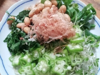 回復食