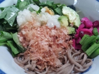 回復食