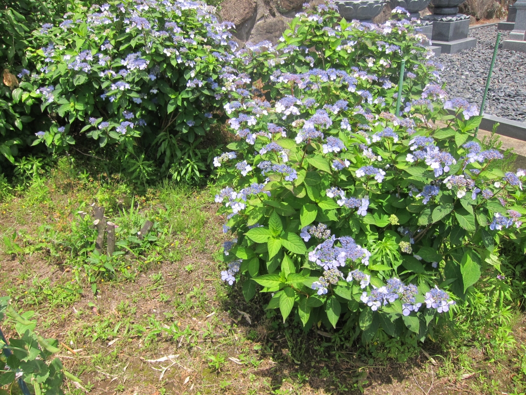 IMG_3280.JPG