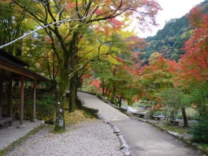 香嵐渓の紅葉