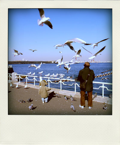 pola