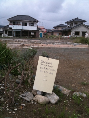 津波被災地