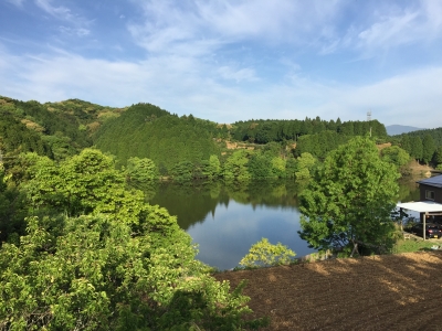 波佐見
