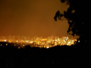 20071119_4.jpg