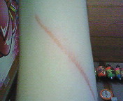 200803311151000.jpg