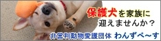 非営利 動物愛護団体 わんずぺ〜す