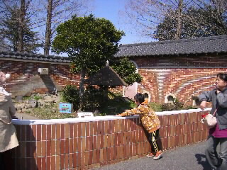 IMGP006900010001.jpg